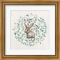 Framed Rabbit Leaves
