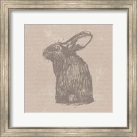 Framed Tan Bunny