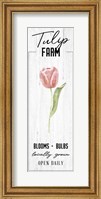 Framed Tulip Farm