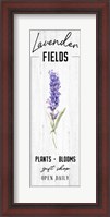 Framed Lavender Fields