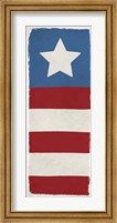 Framed Star Flag