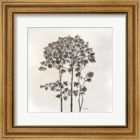 Framed Leafy Treetop