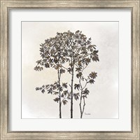 Framed Leafy Treetop