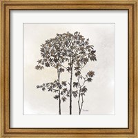 Framed Leafy Treetop