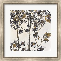 Framed Leafy Treetop II