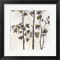 Framed Leafy Treetop III