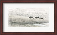 Framed Buffalo Stampede