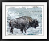 Framed Winter Buffalo