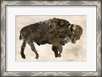 Framed Abstract Buffalo