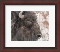 Framed Yellowstone Buffalo