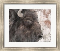 Framed Yellowstone Buffalo