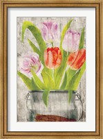 Framed Tulips III