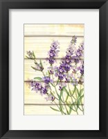 Framed Floral Lavender I