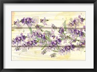 Framed Floral Lavender III
