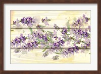 Framed Floral Lavender III