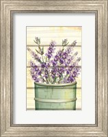 Framed Floral Lavender IV