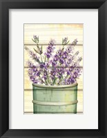 Framed Floral Lavender IV