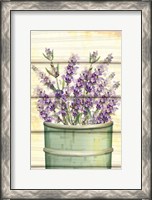 Framed Floral Lavender IV