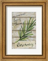 Framed Rosemary