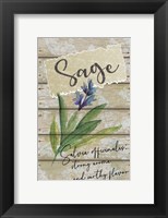 Framed Sage