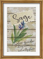 Framed Sage