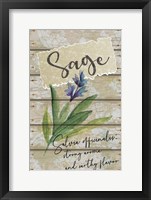 Framed Sage