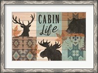 Framed Cabin Life