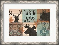 Framed Cabin Life