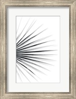 Framed Palm IV