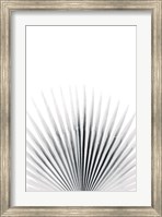 Framed Palm VI