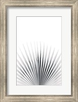 Framed Palm VI