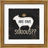 Framed 'Are Ewe Serious' border=