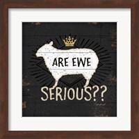 Framed 'Are Ewe Serious' border=