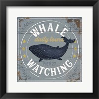 Framed Whale Watching