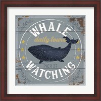 Framed Whale Watching