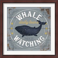 Framed Whale Watching
