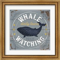 Framed 'Whale Watching' border=