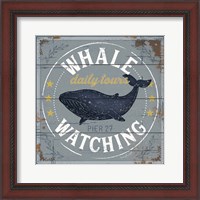 Framed Whale Watching