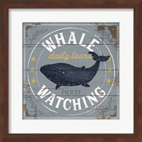 Framed 'Whale Watching' border=