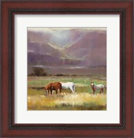 Framed Field of Horses