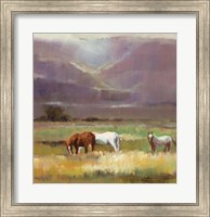Framed Field of Horses