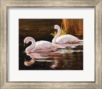Framed Swans