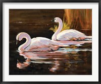 Framed Swans