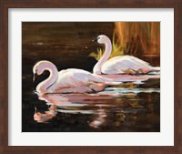 Framed Swans