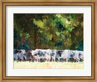 Framed Herd