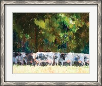 Framed Herd