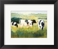 Framed Cows are Out