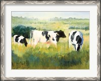 Framed Cows are Out