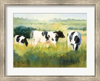 Framed Cows are Out