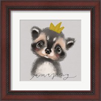 Framed Amazing Raccoon